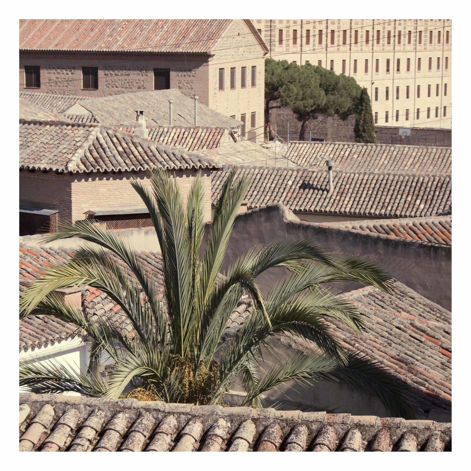Hotel Eugenia De Montijo, Autograph Collection Toledo Exteriér fotografie Phoenix canariensis